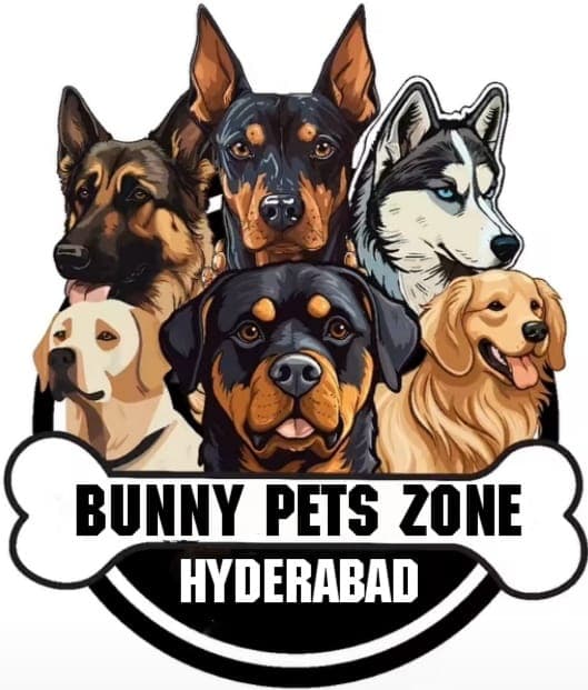 Bunny Pets Zone